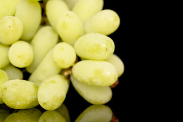 One bunch of white seedless grapes, close-up, isolated on a black background.