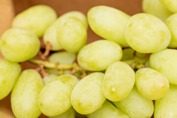 One bunch of white seedless grapes with a paper bag, close-up.
