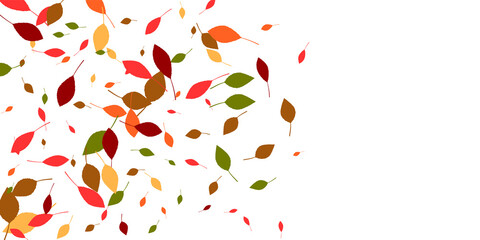 Leaves. Yellow, red, green, orange, brown colors. Scattered autumn leaves. Unusual abstract texture. Vector eps 10.