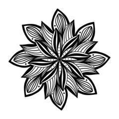 Floral, hand drawn aster mandala flowers in doodle style isolated on white background. Сoloring page for adult and kids, decorating kids playroom or greeting card. Chrysanthemum, Lotus.