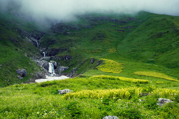 Beautiful waterfall in valley of flower, India
The Valley of Flowers is nestled in the upper expanses of Bhyundar Ganga near Joshimath in Garhwal region.