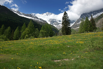 Monte Rosa