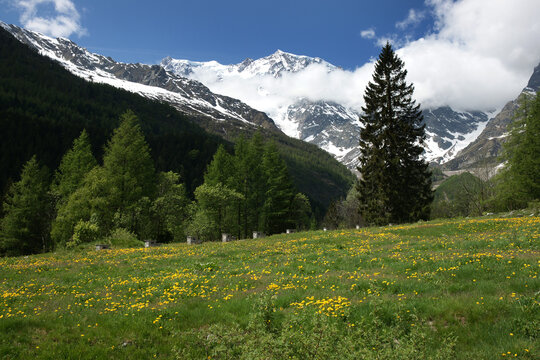 Monte Rosa
