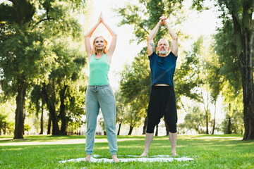 Mountain yoga pose position. Full length portrait of two mature people couple meditating practicing yoga outdoors on fitness mat together.