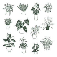 Fototapeta na wymiar Home interior plants in pots vector illustrations set