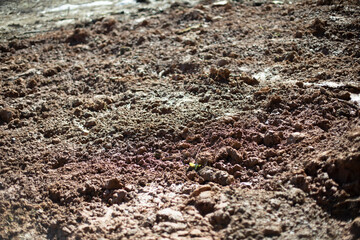 Excavated soil. Broken land. Texture of mud. Clay and soil.