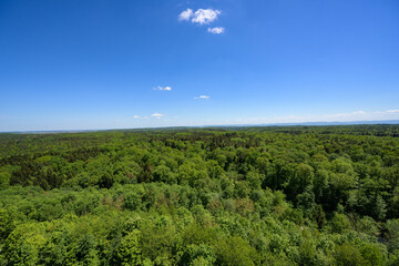 Fototapeta na wymiar panoramic view of the schönbuch nature park
