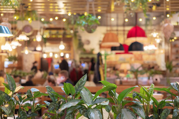 Potted plants with green leaves grow in a cafe with lampshades and bright glowing light bulbs against a blurred interior. Selective focus.