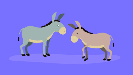 Two donkeys