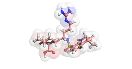 Argatroban, 3D molecule