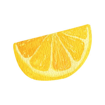 Lemon fruit slice watercolor clipart. Illustration of fresh lemon