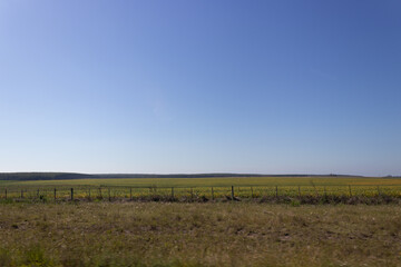 En la ruta 