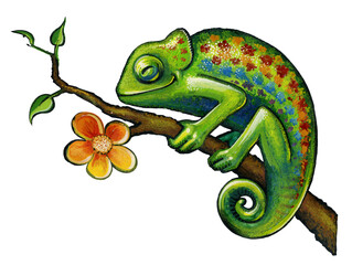 Chameleon illustration © PRILL Mediendesign