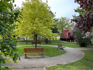 Park with trees on a spring day