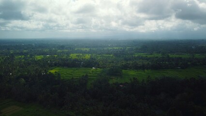 Fototapeta na wymiar Aerial drone view to green rice fields and jungle in Bali