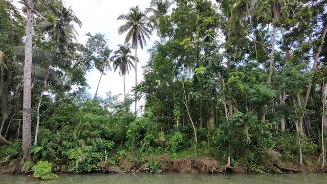 relaxing sound in boat and nature