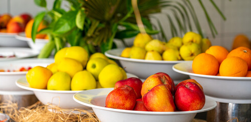 Assortment of different kind of fresh apples on the table in buffet line with fruits