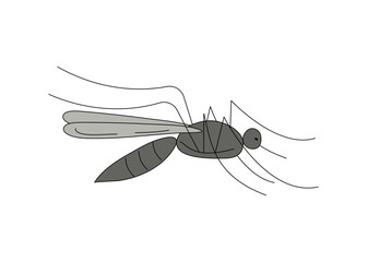 Mosquito  icon. Cute cartoon kawaii funny character. Collection of insect beetles. Children's illustration. Doodle style. White background. Isolated. Vector illustration.