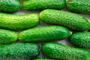 Green cucumbers in the supermarket close-up. Organic food. Agriculture, Farmers food