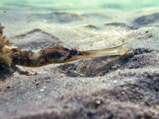 sand on the beach