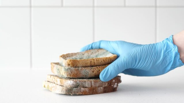 Woman in protective gloves taking moldy bread from a white countertop