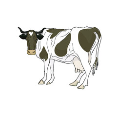 Illustration of a cow in line, isolated on a white background. Logo for printing on clothes, packaging, blank for designers, farmers, meat restaurants
