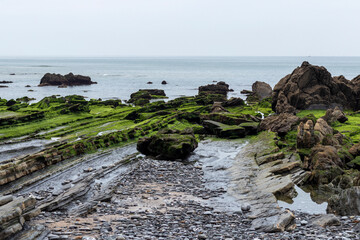 barrika beach on the basque coast in spring with the green rocks