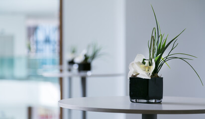 Close up of an orchid table decoration at a corporate event venue