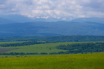 Obraz premium Mountain summer. Sunny day. Green grass and flowers, fantastic unique