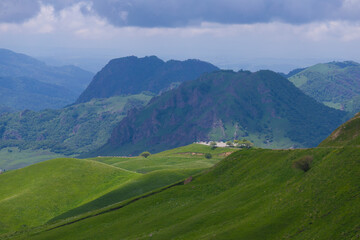 Obraz premium Mountain summer. Sunny day. Green grass and flowers, fantastic unique