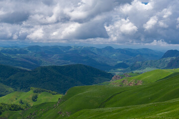 Fototapeta premium Mountain summer. Sunny day. Green grass and flowers, fantastic unique
