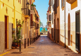 Old street in Palma de Mallorca overlooking the sea © Nataliya Schmidt