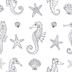 Seamless vector pattern with sketch of hippocampus, starfish and sea shells. Sea seamless vector pattern. Decoration print for wrapping, wallpaper, fabric.
