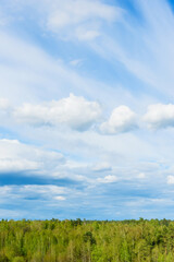 Fototapeta na wymiar Green treetops and beautiful cloudy blue sky.