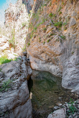 mountain river in the forest