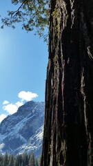 Yosemite