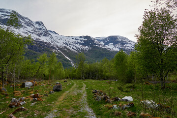 Briksdalasbreen glacier. Sunset. Glacier waterfall. Sheep. Authentic Norwegian house. Spring in Norway. Jostedalsbreen National Park.