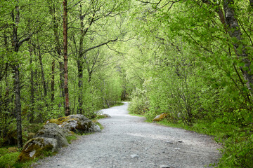 Obraz premium Briksdalsbre glacier. Late afternoon. Fast stream. Glacier waterfall. Spring in Norway. Jostedalsbreen National Park.