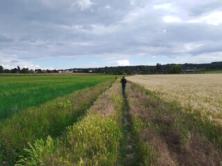 Chant de Fontenay le Fleury 