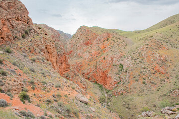 Obraz premium red rocks in the desert