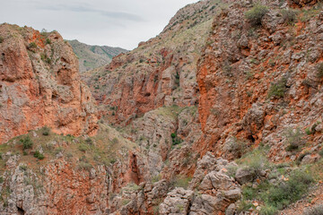Obraz premium red rocks in the mountains