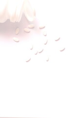 White pills and pill bottles were placed on a white table.