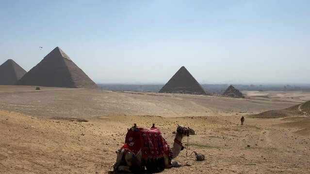 Piramid camel panorama skydiving