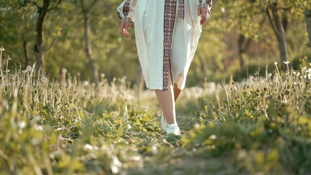 Woman walking in midi white dress and sneakers. Ukrainian lady in dandelion lawn in apple garden. Nature background. 