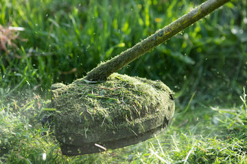 mowing the grass with a lawn mower, garden work concept background
