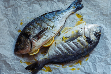 Fresh sea bream fish stuffed with lemon, salt and rosemary on crumpled bakig paper is ready for...