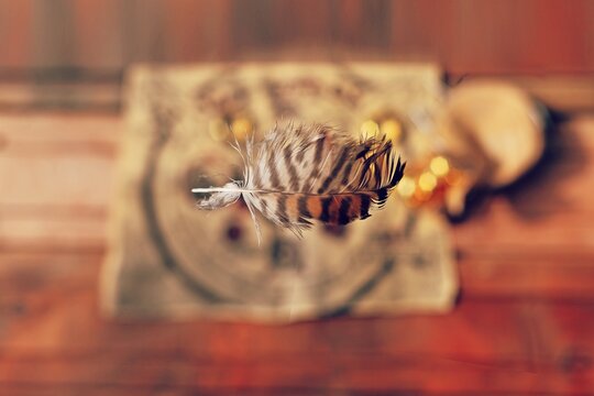 Pluma cayendo sobre mapa, estilo vintage