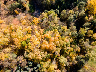 Aerial Autumn view of South Park in city of Sofia, Bulgaria