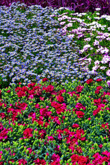 Euroflora nervi parks garden Genoa Italy