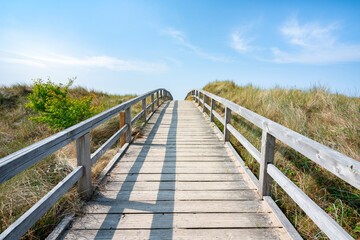 Fototapeta na wymiar Pathway through the dunes, North Sea coast, Germany